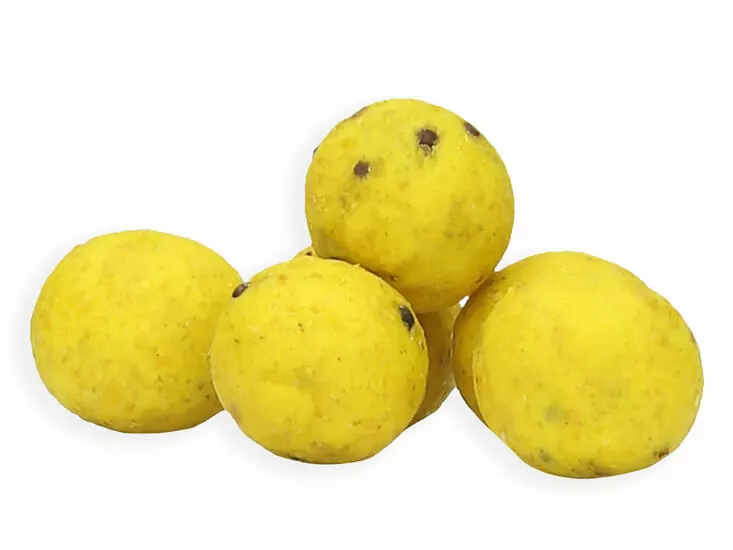 Scopex / Birdfood Boilies 20 Mm 5 Kg. XL Baits 1 Scopex / Birdfood Boilies 20 Mm 5 Kg. XL Baits