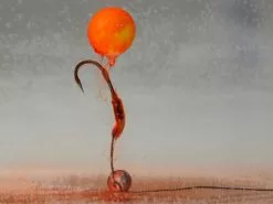 Carpzoom Foam Pop Ups 10 Mm. (6 St.) 5 Carpzoom Foam Pop Ups 10 Mm. (6 St.) -XL Baits Winkel 1679338424