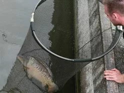 Karper Schepnet Controller Round + 2-delige Steel (PB Products) 14 Karper Schepnet Controller Round + 2-delige Steel (PB Products) -XL Baits Winkel 1802755755