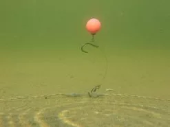 Heli-Chod Rubber & Beads 3 St. (PB Products) -XL Baits Winkel 1902541506