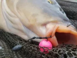 Ronnie Rig 2 St. (PB Products) -XL Baits Winkel 1952525847